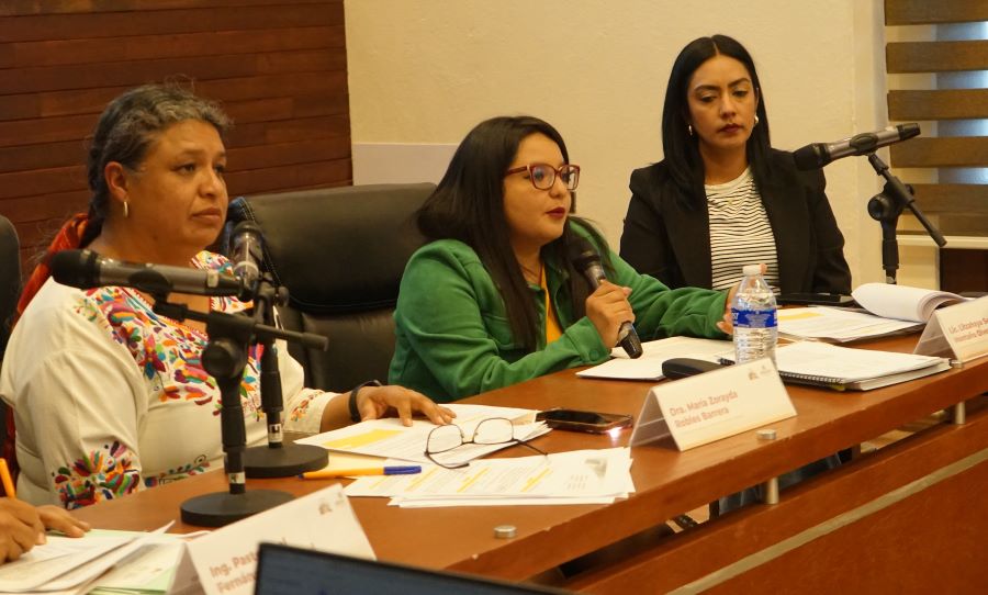 IHM Reconoce Compromiso de Gobiernos Locales Con La Agenda de Género