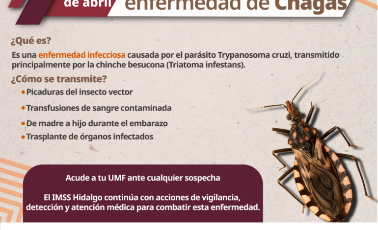 Promueve IMSS Hidalgo acciones para prevenir la Enfermedad de Chagas