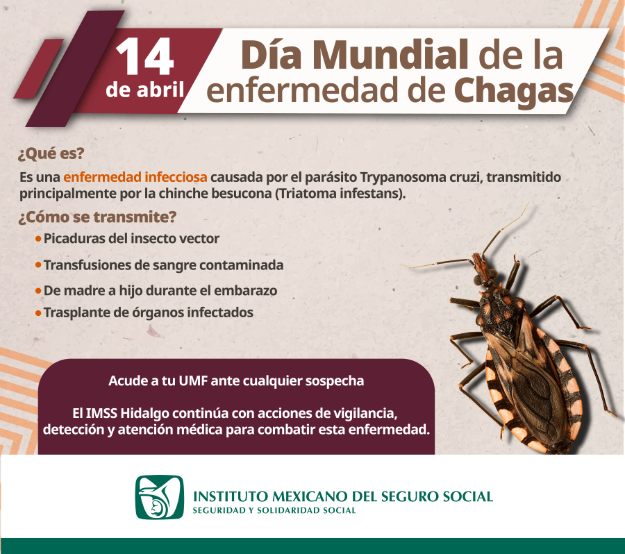 Promueve IMSS Hidalgo acciones para prevenir la Enfermedad de Chagas