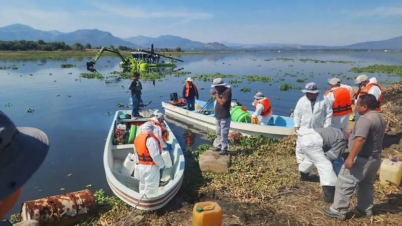 CENAPRES y Smarnath Informan que Concluyeron la Fumigación de la Presa Endhó