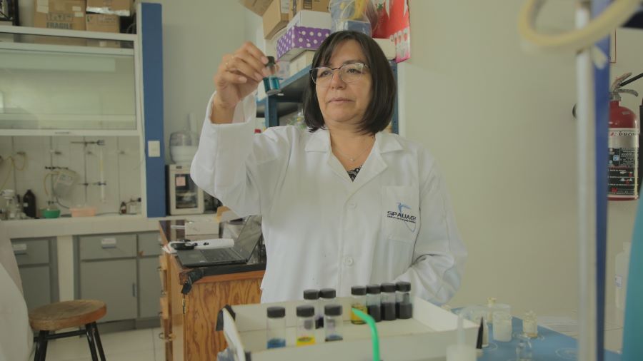 UAEH Abre Convocatoria Para Plazas de Profesora o Profesor de Tiempo Completo