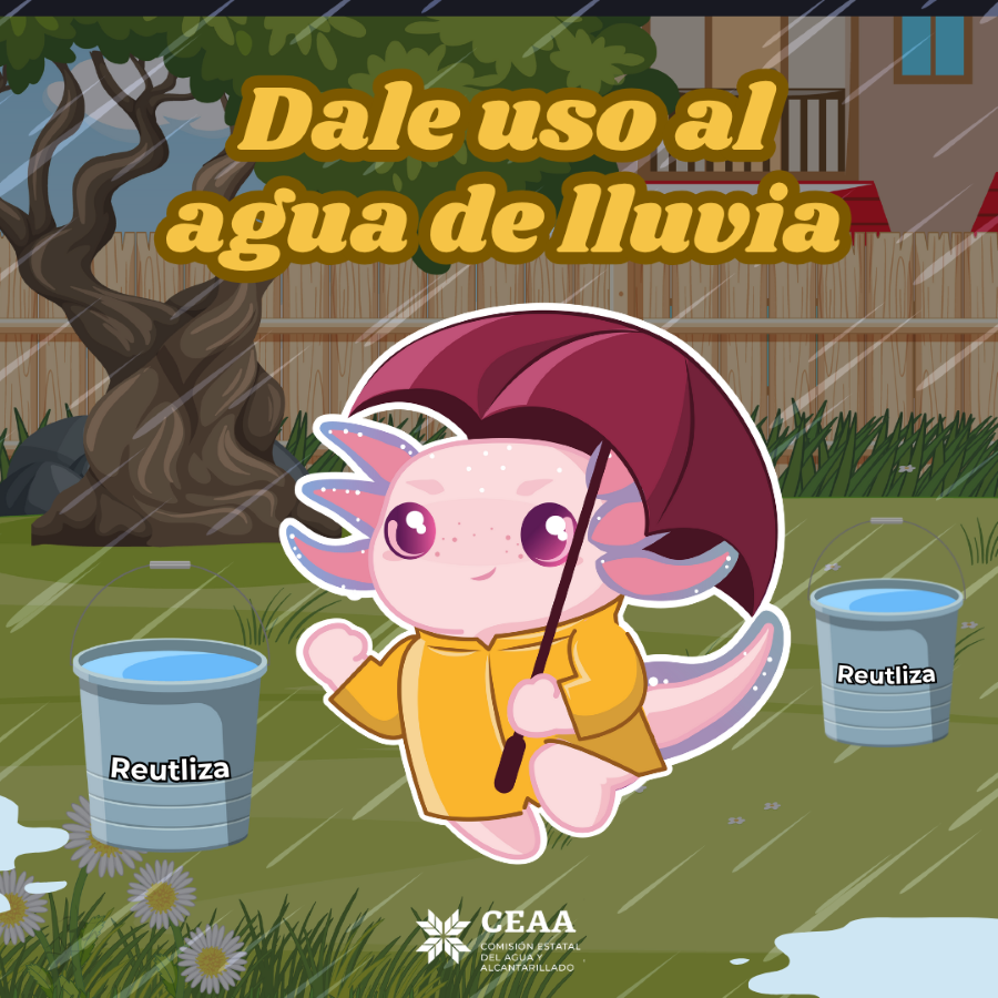 Invita CEAA a Aprovechar el Agua de Lluvia, Como Alternativa Sustentable