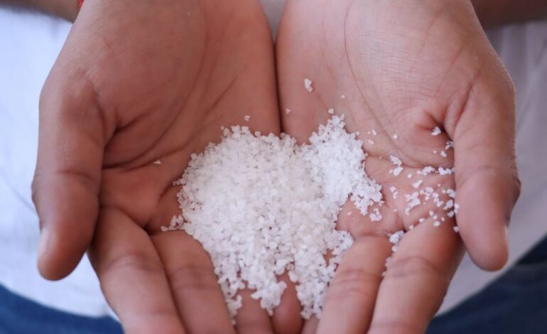 Lluvia Sólida, Una Apuesta Medioambiental Que Ya Transforma el Campo Hidalguense