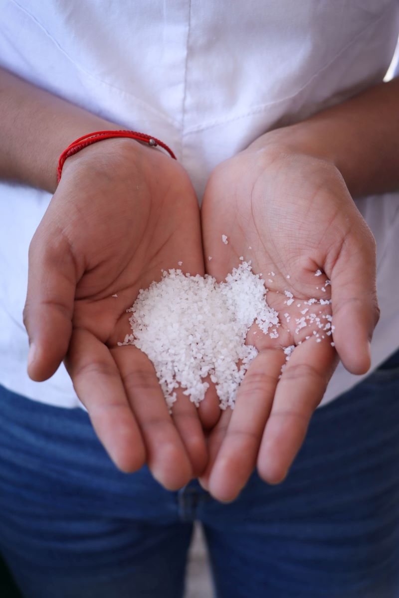 Lluvia Sólida, Una Apuesta Medioambiental Que Ya Transforma el Campo Hidalguense