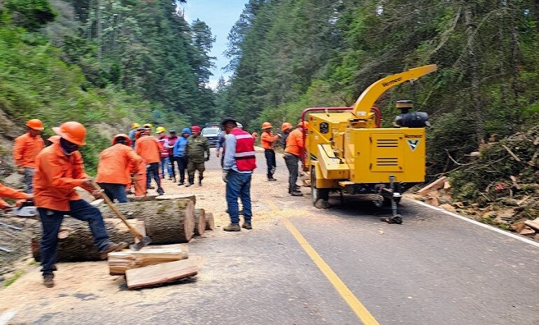 Cierre Temporal de Tramo Carretero Por Trabajos fitosanitarios en PNCH