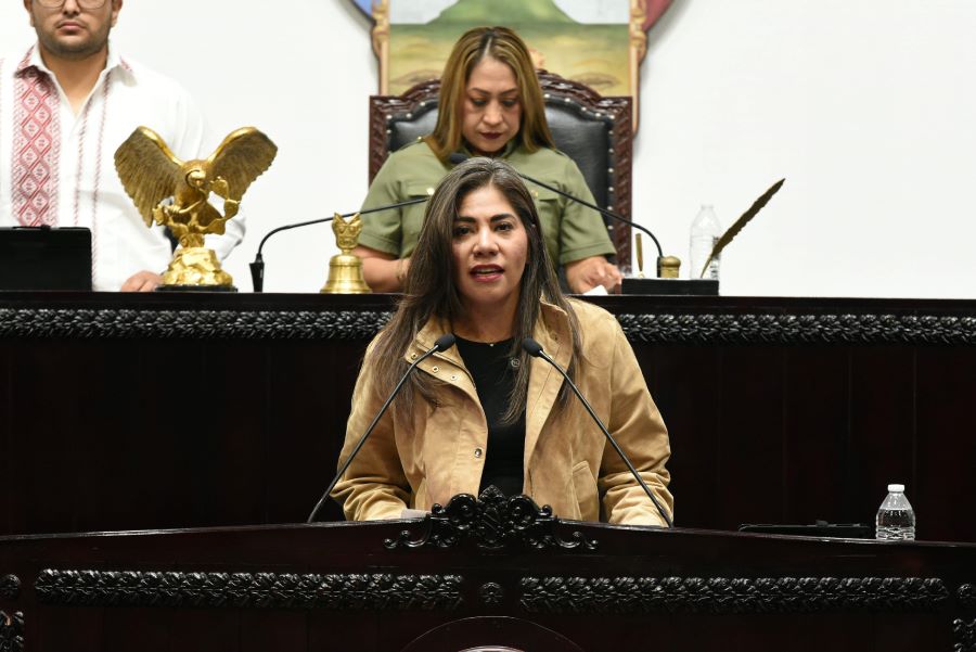 Con Iniciativa, Diputados Buscan Ampliar Tipificación Por Transgredir La Dignidad Humana