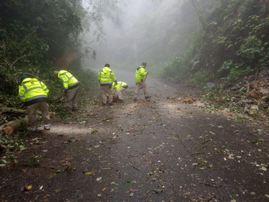 Despliegue de Recursos y Balance, Tras Lluvias del Fin de Semana en Hidalgo
