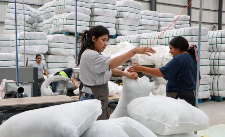 Hidalgo Rompe Récord Histórico en Empleo Formal al registrar 289 mil 428 Trabajadores Asegurados en Mayo de 2025
