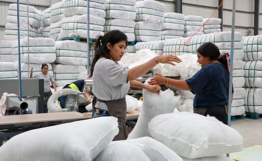 Hidalgo Rompe Récord Histórico en Empleo Formal al registrar 289 mil 428 Trabajadores Asegurados en Mayo de 2025