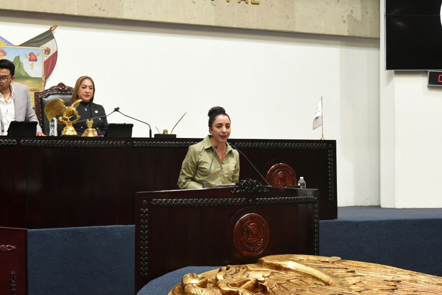 Legisladores Exhortan a Municipios a Crear Instancias de la Juventud