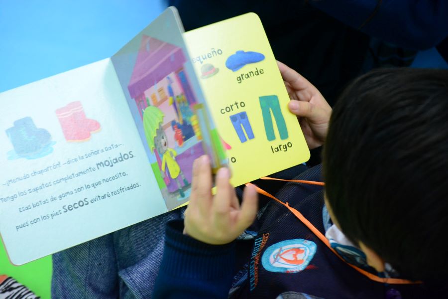 FUL Niños UAEH: 15 Años de Letras, Imaginación y Lecturas