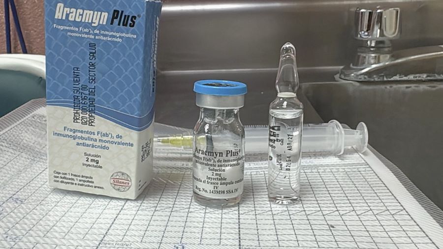 IMSS Bienestar Hidalgo Exhorta a Evitar Remedios Caseros Ante Picaduras de Araña o Mordeduras de Víbora