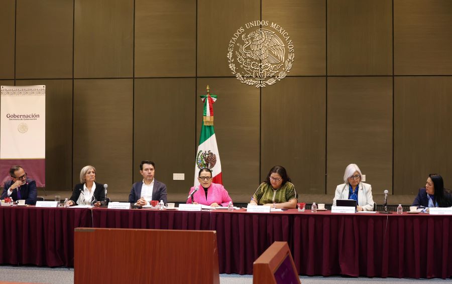 El Gobierno de México Fortalece El Pleno Ejercicio de los Derechos Sexuales y Reproductivos, de las Mujeres: SEGOB