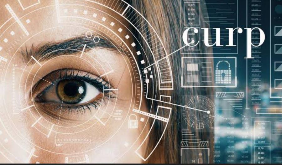 Registro del Estado Familiar de Tulancingo Se Documenta en Torno a La Expedición de Curp Biométrica