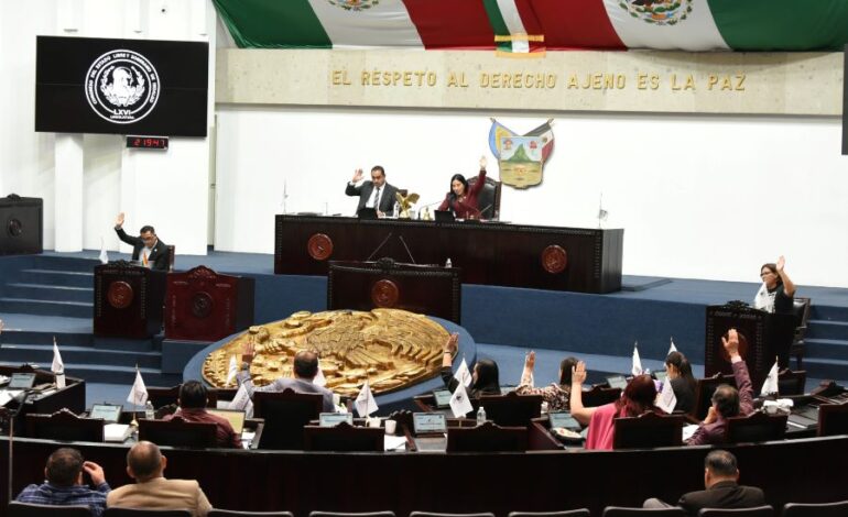 Diputada Exhorto a la SEDENA a Realizar Desarme Civil Voluntario