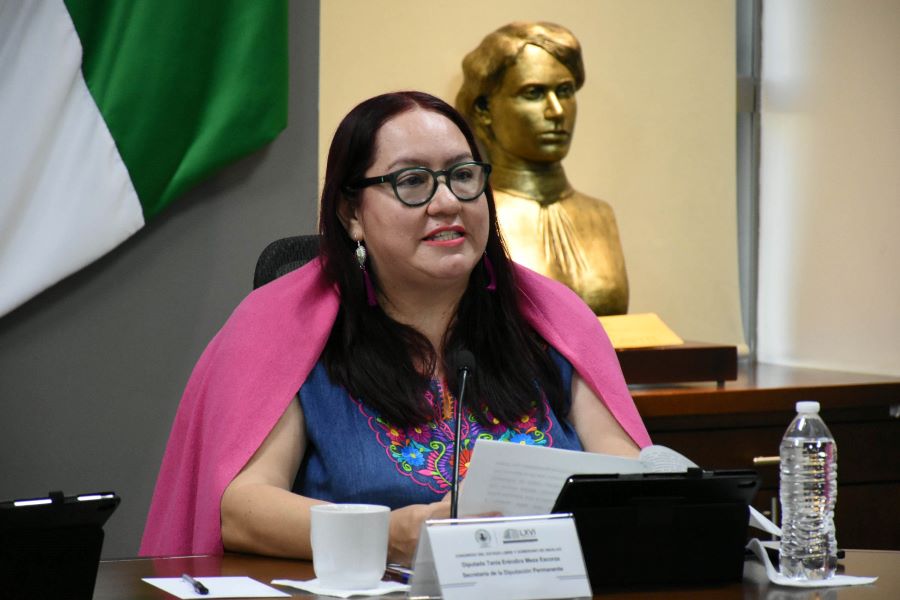Diputados Buscan Tipificar el Delito de Transfeminicidio