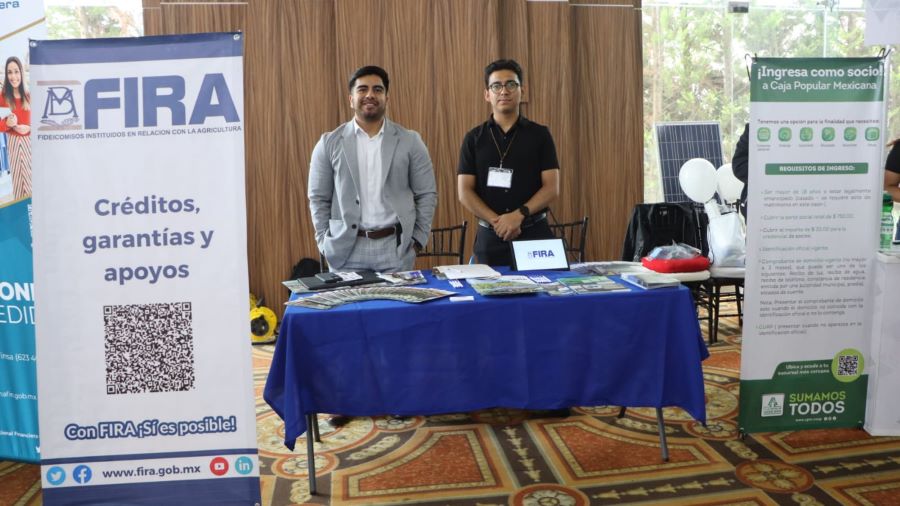 Sedeco Convoca a Empresas a Participar en la Expo Financiera Hidalgo 2025