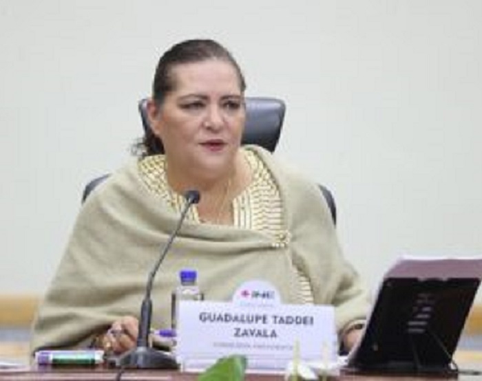Revocación de Mandato: IEEH Advierte a Servidores de No Utilizar Recursos Públicos