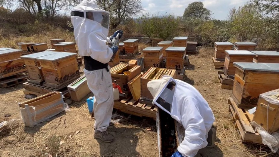 Este 9 de Septiembre Entregarán Trajes de Protección Para Rescate y Reubicación de Enjambres