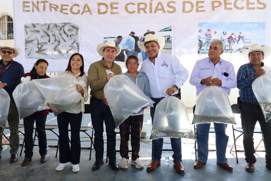 Productores hidalguenses reciben 155 mil crías de peces