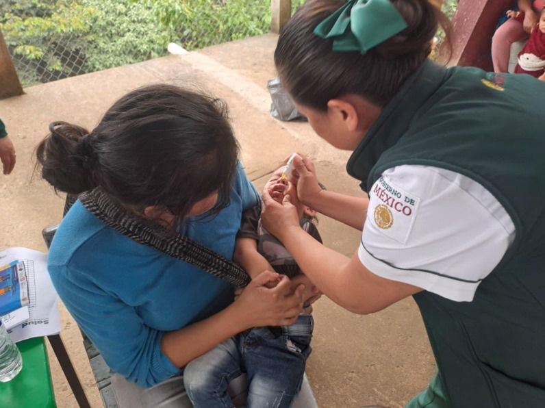 IMSS Bienestar Refuerza Atención Médica en Entidades Afectadas Por Lluvias; Se Distribuyen 14 Millones de Medicamentos e Insumos
