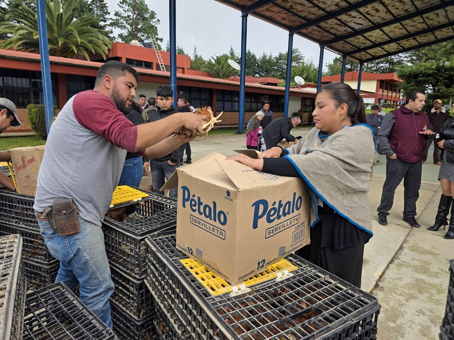 Gobierno de Hidalgo Impulsa Seguridad Alimentaria Con Entrega de Apoyos