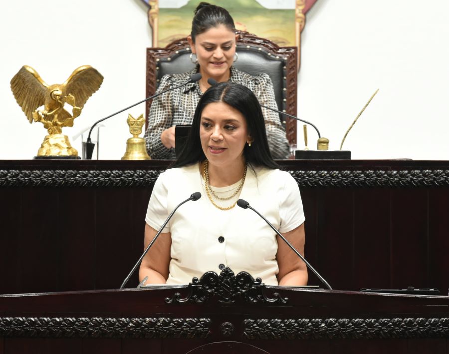 Hidalgo Impulsa Ley Contra Reclutamiento de Niñas y Niños Por El Crimen Organizado: Karla Perales
