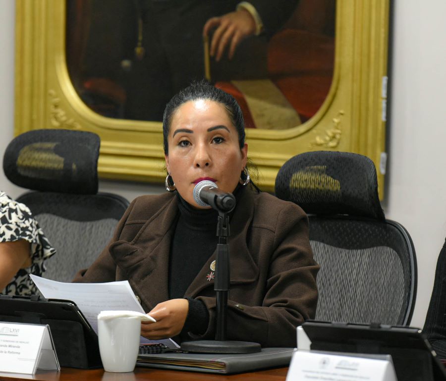 Exhortan Diputados del Congreso Local a la SEDENA a Implementar un programa de desarme Civil en Hidalgo