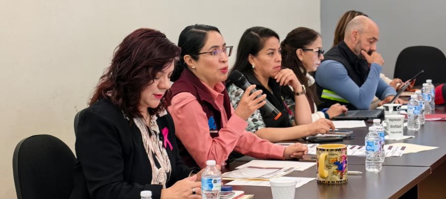 Refuerza Hidalgo Plan Interinstitucional Para La Recuperación Tras La Contingencia