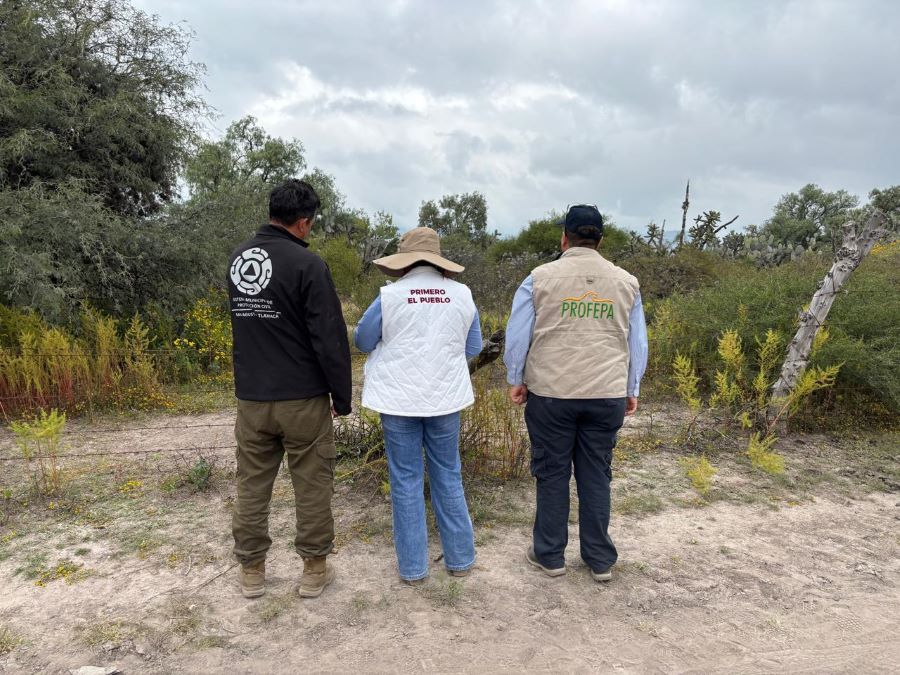 Semarnath Activa Protocolo de Conservación Tras Reporte de Avistamiento de Felino Silvestre en San Agustín Tlaxiaca