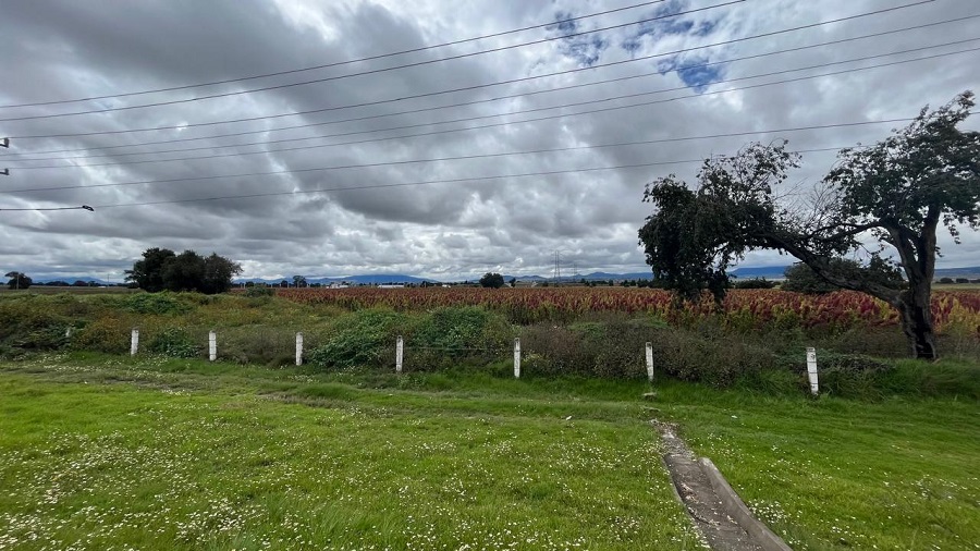 Avalan 433 Ejidatarios La Operación de Time Ceramics en Emiliano Zapata, Hidalgo