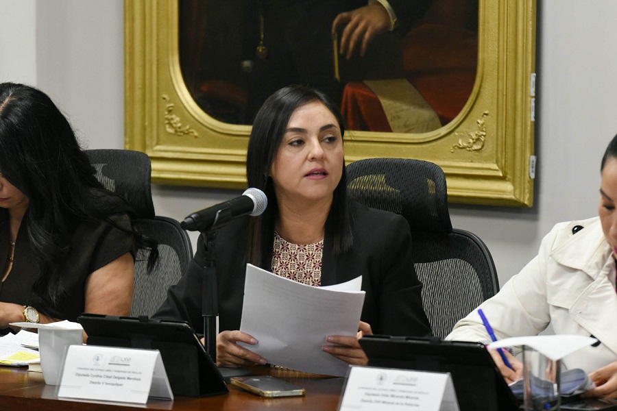 Legisladoras de Morena Rechazaron el Proyecto de Presupuesto Para el Ejercicio Fiscal 2026 del IEEH