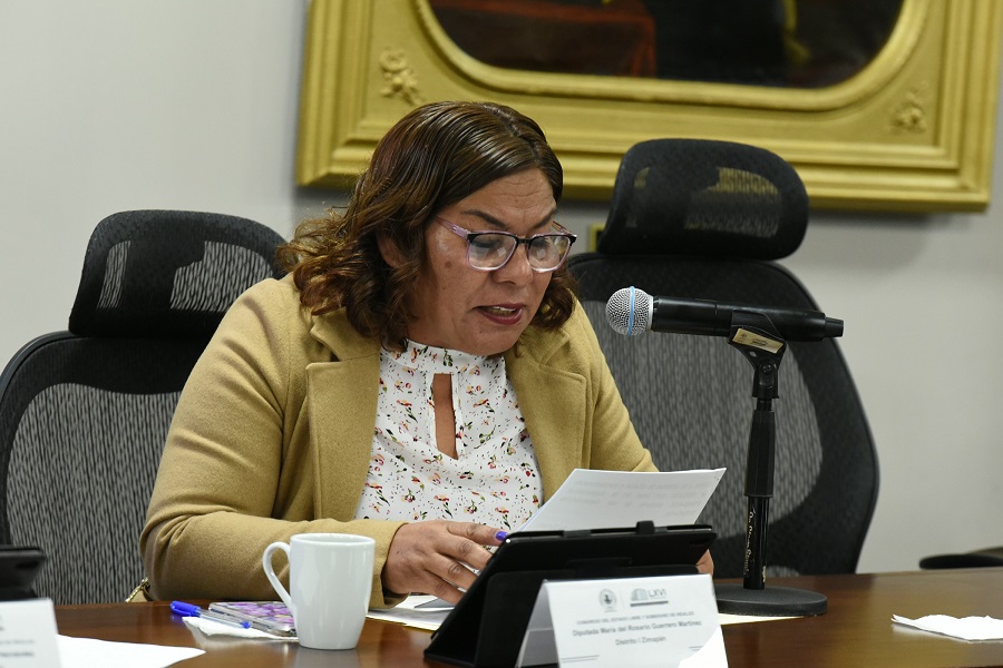 Diputados de Morena y PAN Proponen Uso de Tecnologías Para La Educación Vial