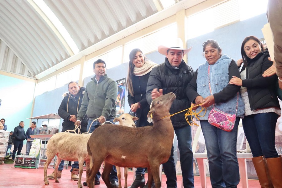 Entrega de apoyos agropecuarios fortalece al campo en Cardonal