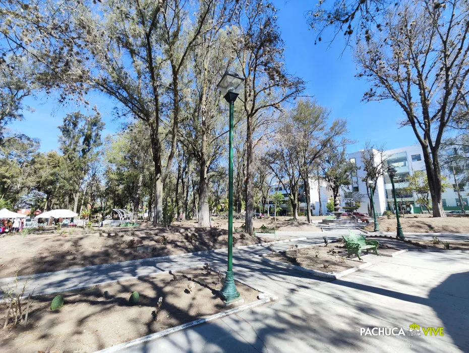 La Secretaría de Medio Ambiente Autorizó Derribo de 55 Árboles del Parque Luis Pasteur por Plaga de Heno Motita