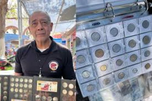 Robo a Donkeys Street Food en Mineral de la Reforma fue Registrado en Cámaras en Establecimiento de Comida