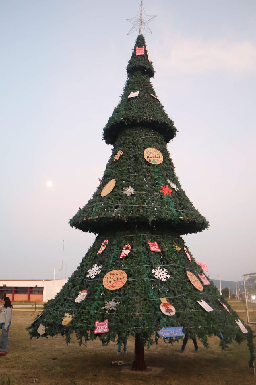 Entre Luces, Alegría y Tradición, la UPT Celebra el Encendido del Árbol Navideño 2025