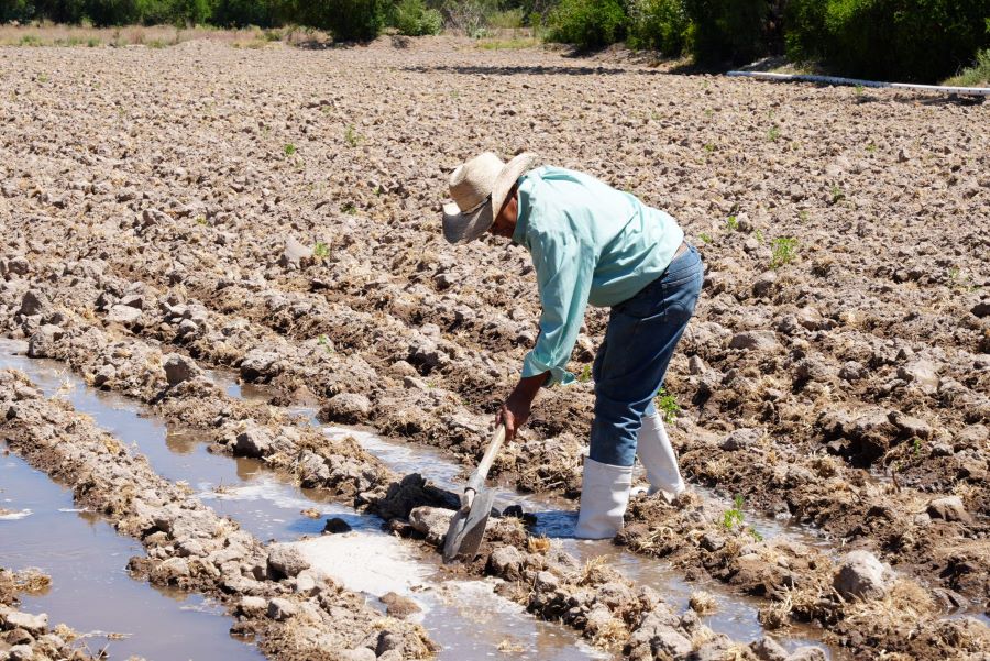 Planeación Participativa y Territorial Fortalece El Desarrollo de Hidalgo