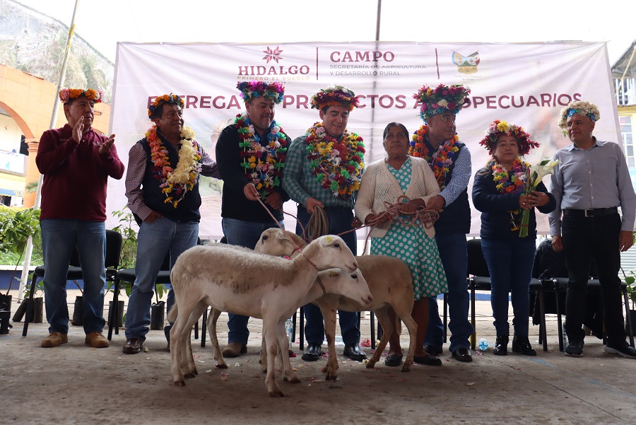 Robustecer la Ganadería Con Mejoramiento Genético y Entrega de Ejemplares, Prioridad del Gobierno de Hidalgo