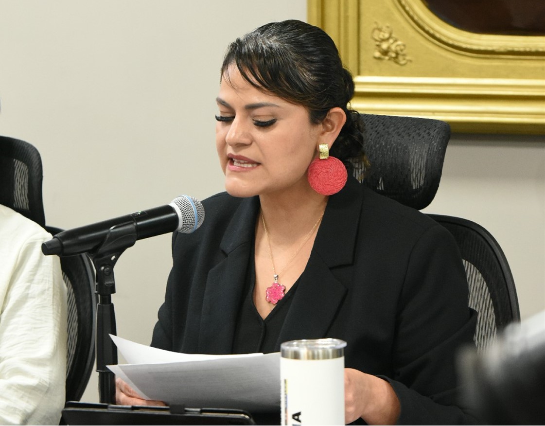 Diputada Por Morena, Presentó Iniciativa Para Ampliar El Próximo Periodo Gubernamental de Dos a Cinco Años