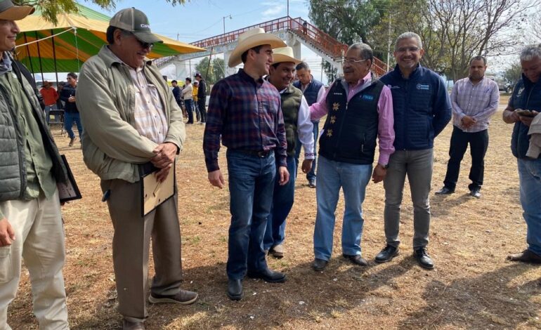 Ensayo de campo de maíz en Mixquiahuala fortalece la productividad y calidad del grano hidalguense
