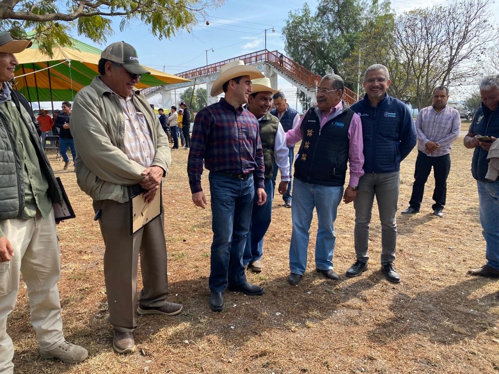 Ensayo de campo de maíz en Mixquiahuala fortalece la productividad y calidad del grano hidalguense