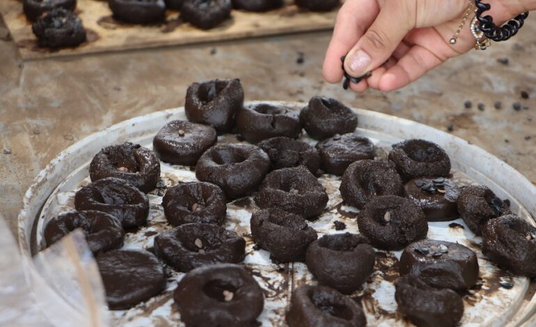 Hidalgo fortalece su política ambiental con participación ciudadana y acciones de reforestación