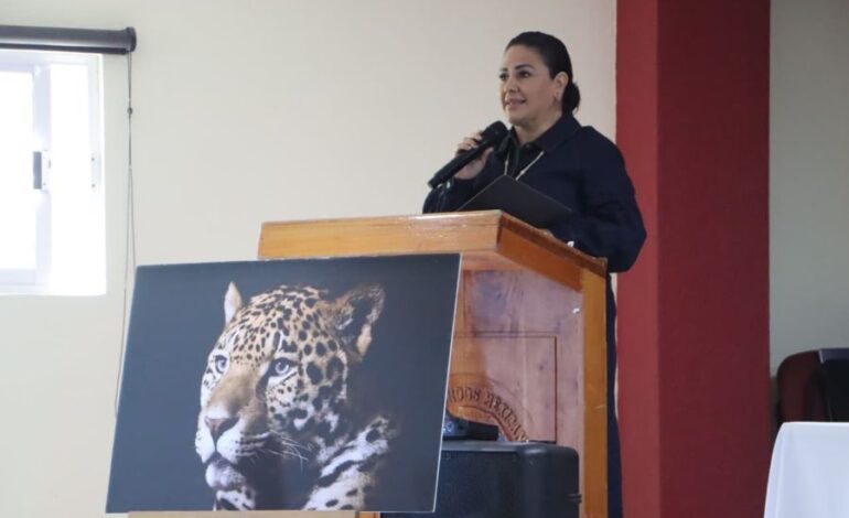 Hidalgo Inicia la Construcción del Programa Estatal de Acción para la Conservación del Jaguar y su Ecosistema
