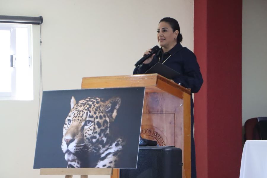 Hidalgo Inicia la Construcción del Programa Estatal de Acción para la Conservación del Jaguar y su Ecosistema