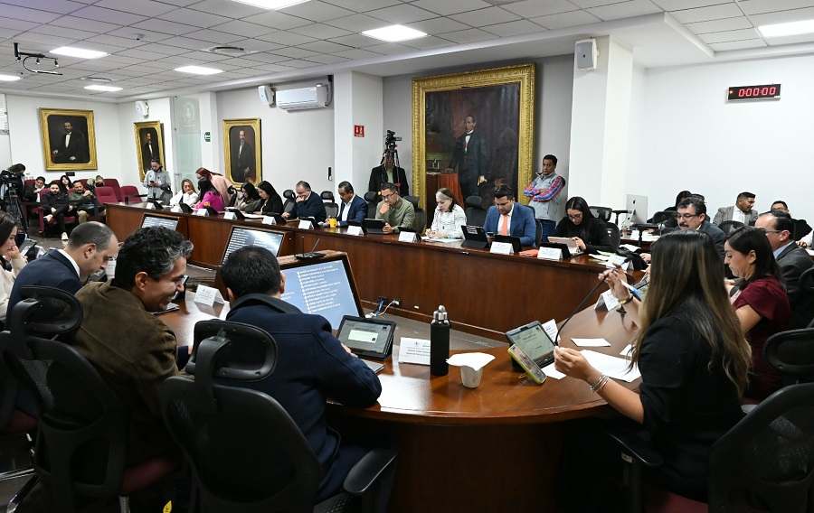 Iniciativa para que la violencia por omisión, incluyendo la negligencia y el abandono, sean parte de la Definición de violencia familiar