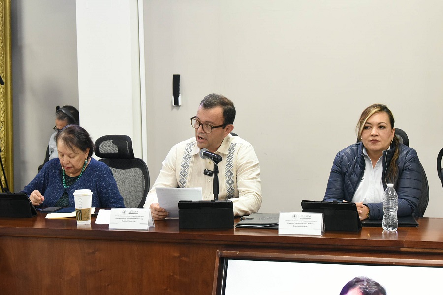 Diputado Presenta Iniciativa Para Incorporar De Manera Expresa La Protección De La Identidad Digital.