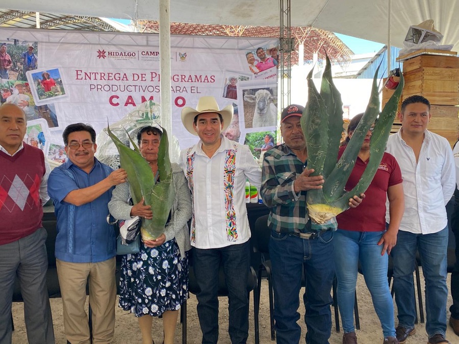 Saderh refuerza la apicultura y entrega sementales ovinos para el desarrollo integral del campo en Zimapán