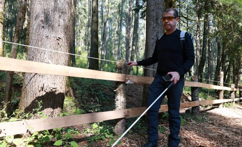 La Meta en Hidalgo es Consolidar Una Cadena Completa de Valor e Inclusión Que No Dependa de la ‘Buena Voluntad’.