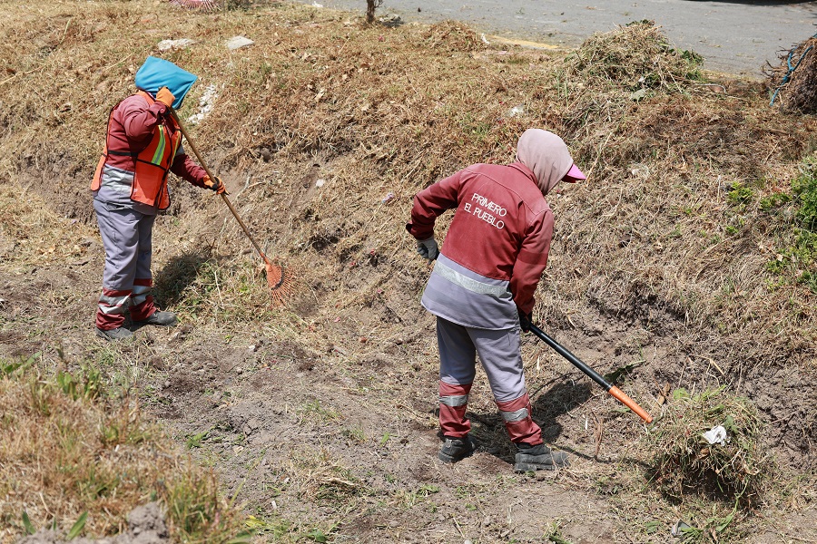 Francisca: 18 años en el mantenimiento urbano